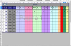 Screenshot FILE GESTIONE DISPOSITIVI DI PROTEZIONE INDIVIDUALI