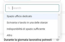 Screenshot CHECKLIST VERIFICA REQUISITI ATTIVITA' SMARTWORKING