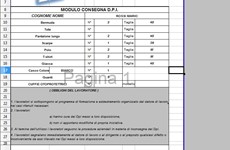Screenshot FILE GESTIONE DISPOSITIVI DI PROTEZIONE INDIVIDUALI
