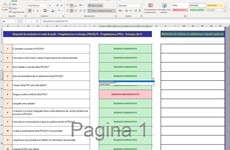 Screenshot File excel ed iAuditor - Audit Progettazione e sviluppo