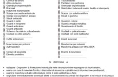 Screenshot VERBALI DI CONSEGNA E VERIFICA D'UTILIZZO DEI DPI