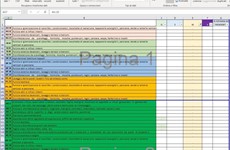 Screenshot File excel ed iAuditor - Attivit pulizia scuole