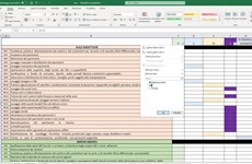 Screenshot File excel ed iAuditor - Attivit pulizia scuole