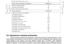 Screenshot ESEMPIO VALUTAZIONE RISCHIO RUMORE PER MANUTENZIONE VERDE
