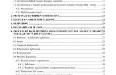 Screenshot MANUALE ISPRA GESTIONE INFORTUNI E MANCATI INFORTUNI
