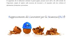 Screenshot Manuale per RLS: la fortuna non  dispositivo di sicurezza