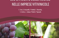 Screenshot Imprese vitivinicole: rapporto ENEA uso efficiente risorse
