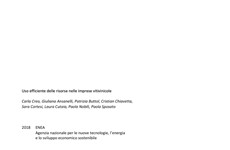 Screenshot Imprese vitivinicole: rapporto ENEA uso efficiente risorse