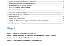 Screenshot Rapporto Vas 2018 Italia