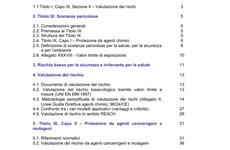 Screenshot VALUTAZIONE DEL RISCHIO CHIMICO NEL D.LGS 81/2008