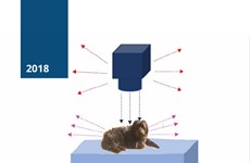 Screenshot VALUTAZIONE RISCHIO DIAGNOSTICA IMMAGINI AMBITO VETERINARIO