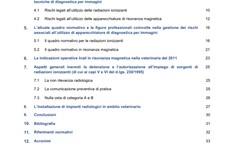 Screenshot VALUTAZIONE RISCHIO DIAGNOSTICA IMMAGINI AMBITO VETERINARIO