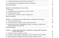 Screenshot RAPPORTO MINISTERO LAVORO SUL MERCATO DEL LAVORO 2018