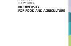 Screenshot RAPPORTO FAO BIODIVERSITA' ALIMENTAZIONE E AGRICOLTURA