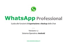 Screenshot GUIDA AL SALVATAGGIO E AL BACKUP DEI MESSAGGI SU WHATSAPP