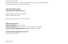 Screenshot RAPPORTO ISPRA DATI SULL'AMBIENTE