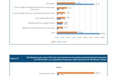 Screenshot RAPPORTO INAIL MALATTIE PROFESSIONALI NEI SITI PER BONIFICHE