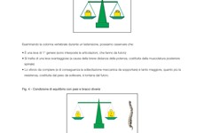 Screenshot MANUALE PIEMONTE PER LA MOVIMENTAZIONE MANUALE DEI PAZIENTI